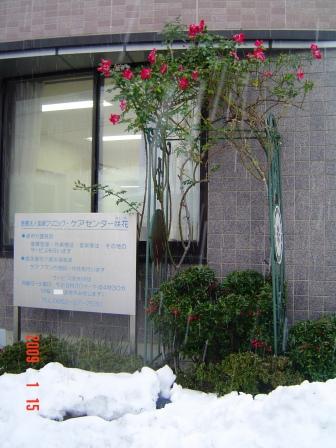 咲花の玄関