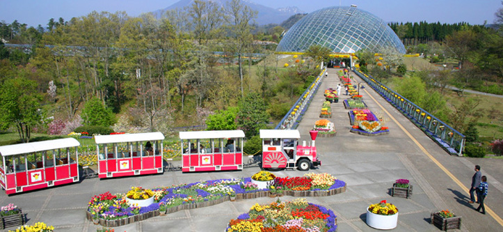 とっとり花回廊